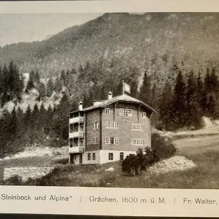 Alpina Grächen