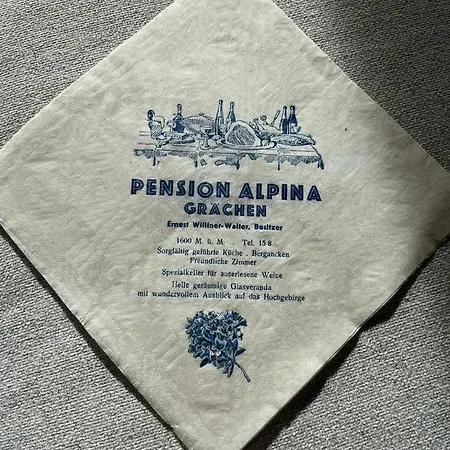 Alpina Hotel
