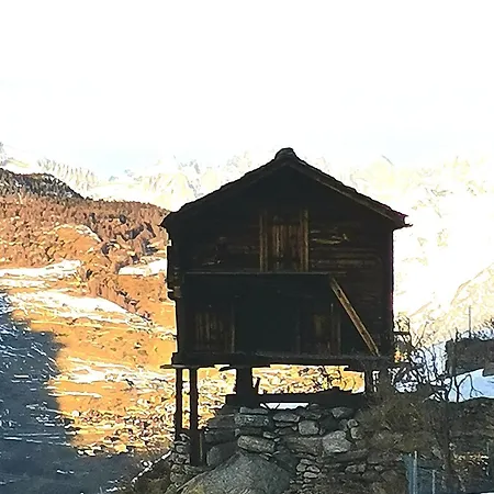 Alpina Hotel 3*