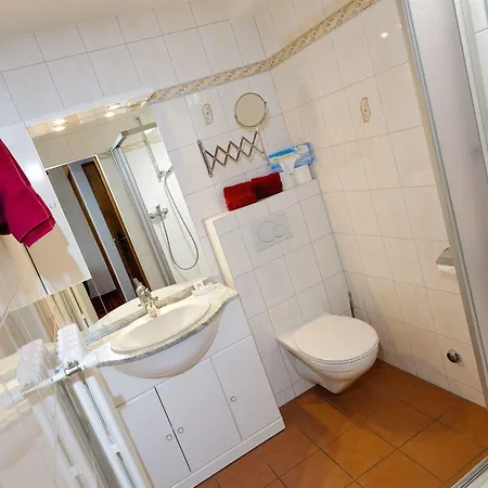 Hotel Alpina 3*