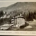 Alpina 格雷兴