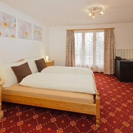 Hotel Alpina Grächen